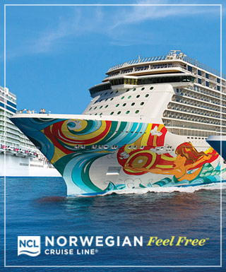 Norwegian Fleet