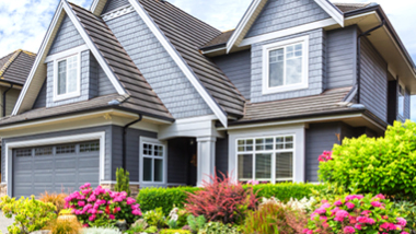 House with spring plants