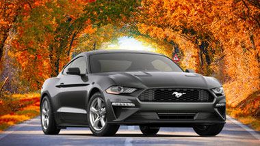 black mustang sitting on road with fall leaves all around