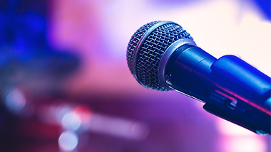 Entertainment Mic Purple